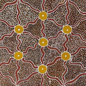 Tyankern (Mulga Berries)