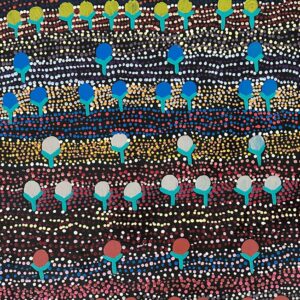 Wanakiji Jukurrpa (Bush Tomato Dreaming)