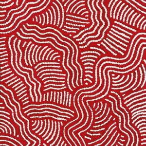 Ngapa Jukurrpa (Water Dreaming) - Mikanji